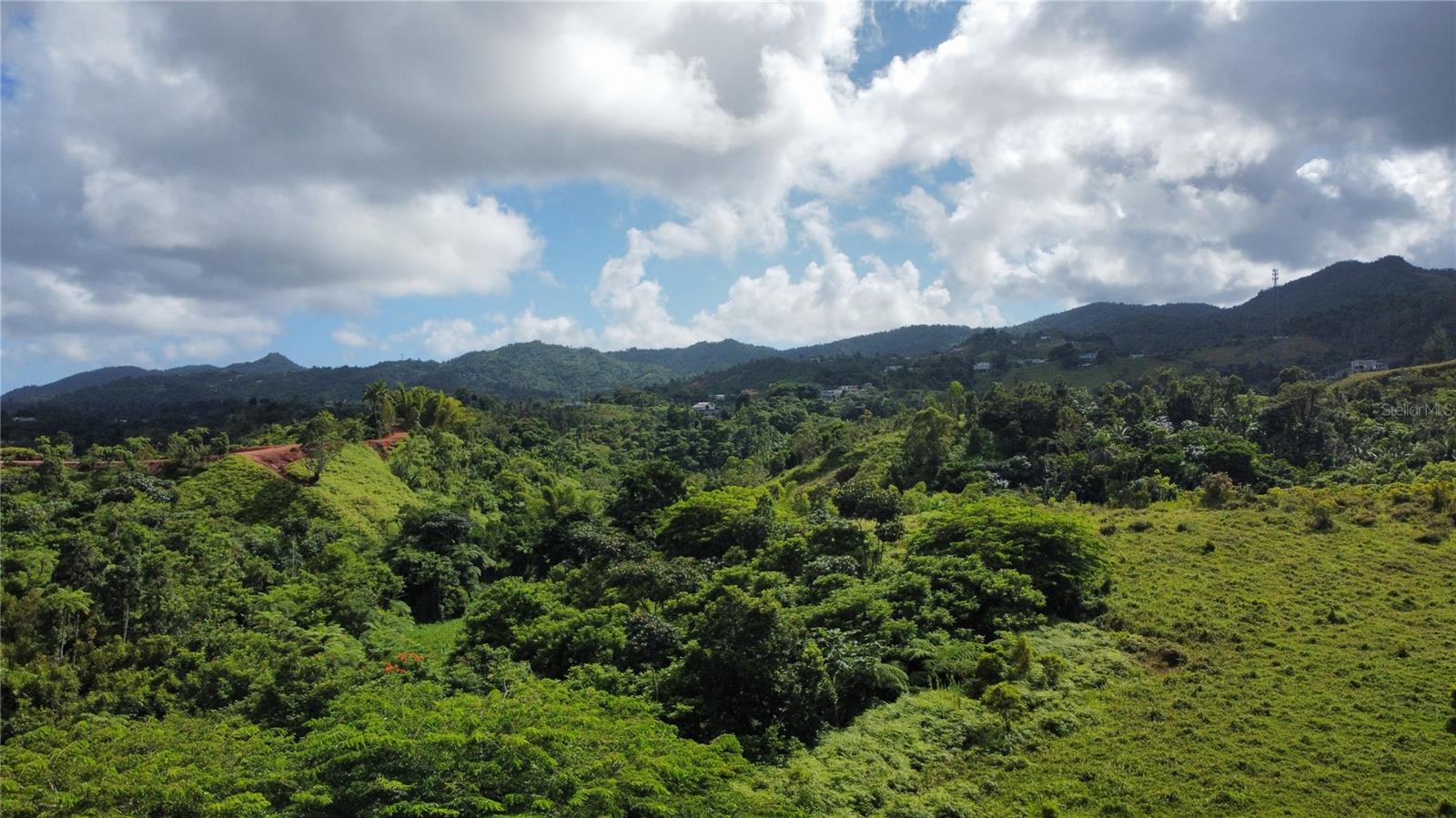 Guayabotas Property Photo 14