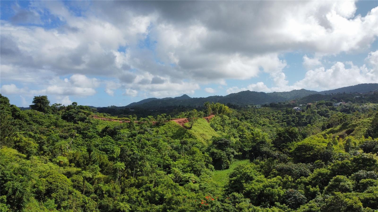Guayabotas Property Photo 16
