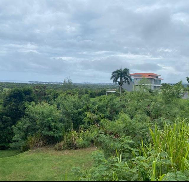 6000 Rio Mar Boulevard #lot 53 Property Photo 16