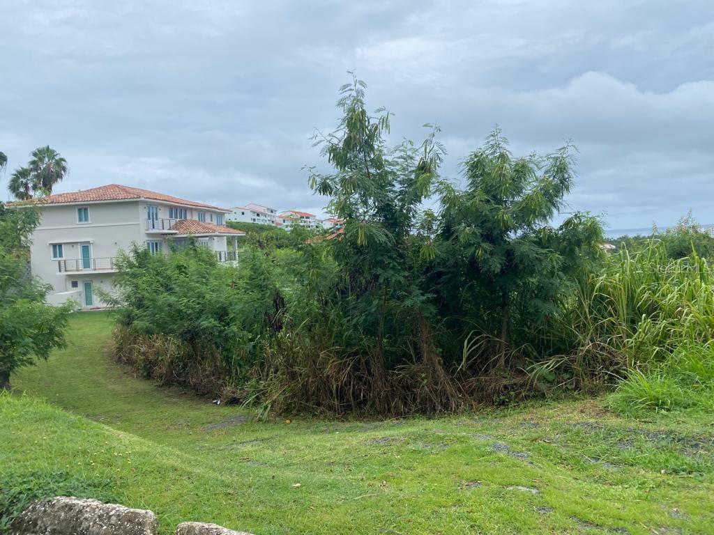 6000 Rio Mar Boulevard #lot 53 Property Photo 17