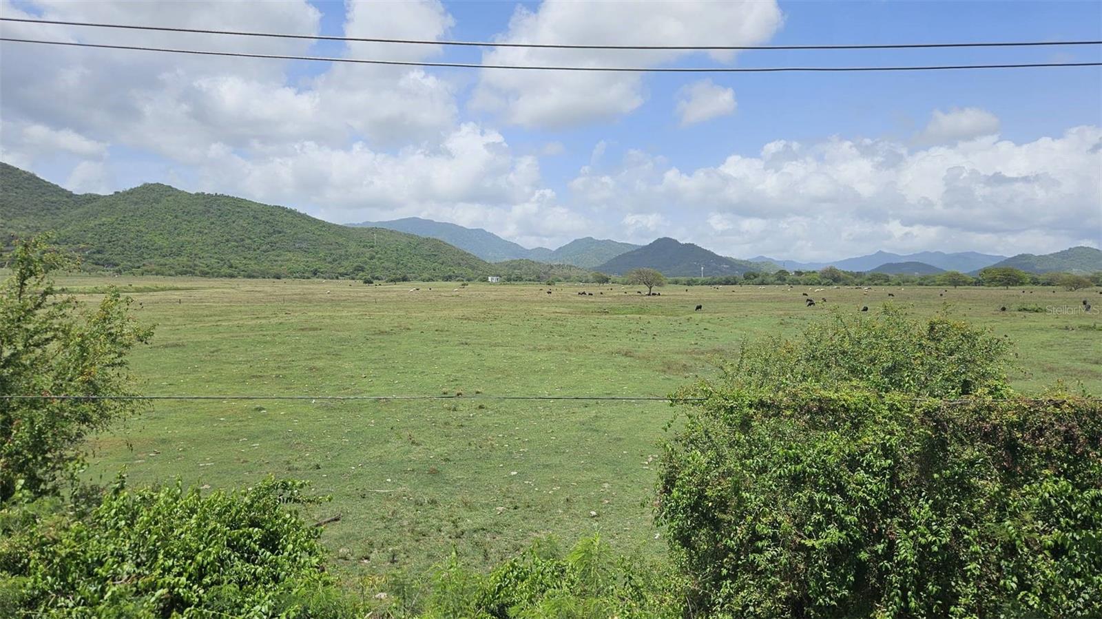Pr 3 Property Photo 3
