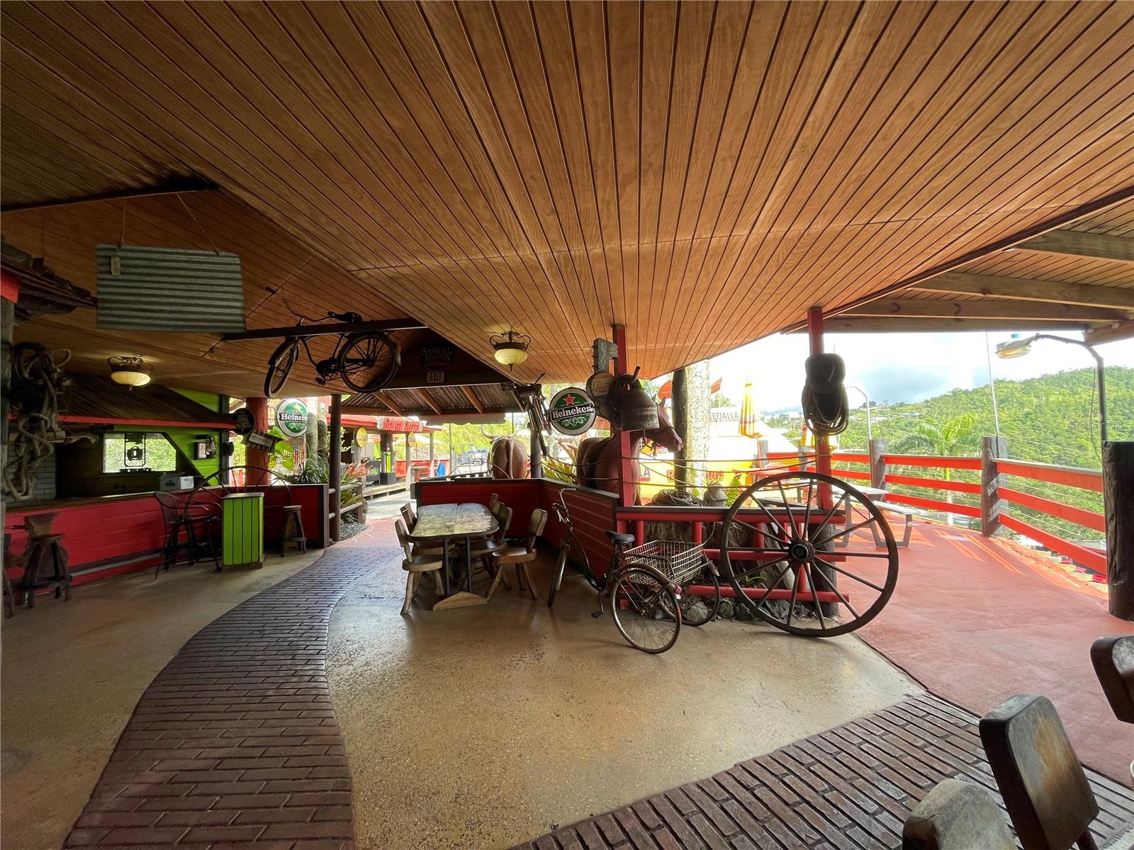 Carr 155 Km 31.9 Bo.gato Property Photo 3