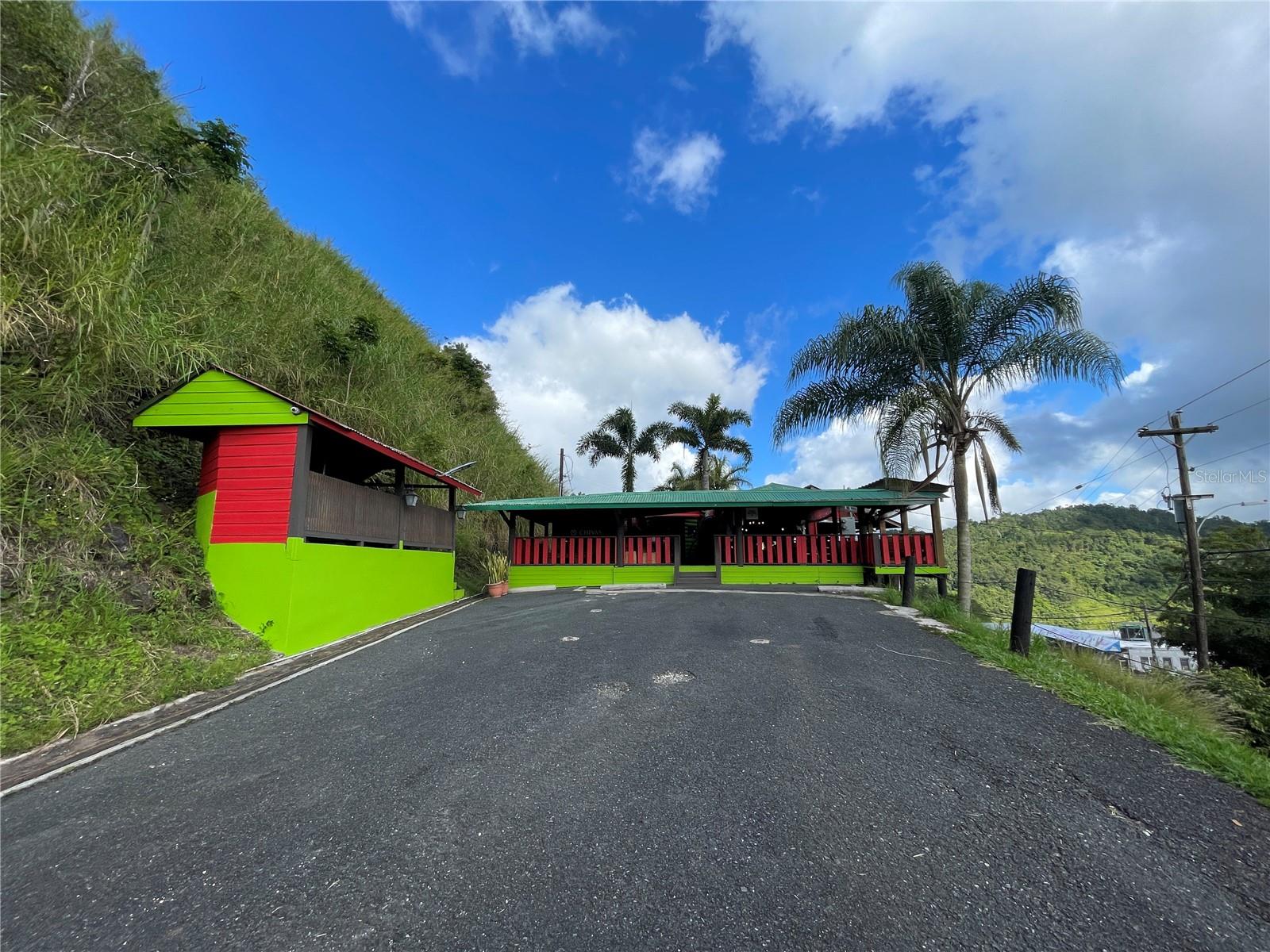 Carr 155 Km 31.9 Bo.gato Property Photo 14