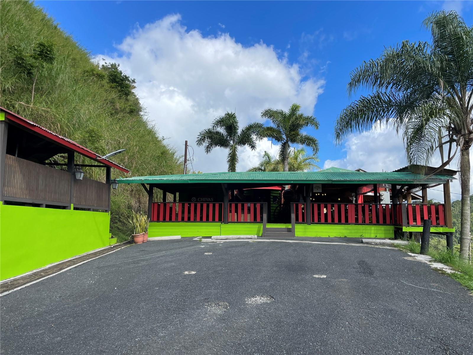 Carr 155 Km 31.9 Bo.gato Property Photo 15