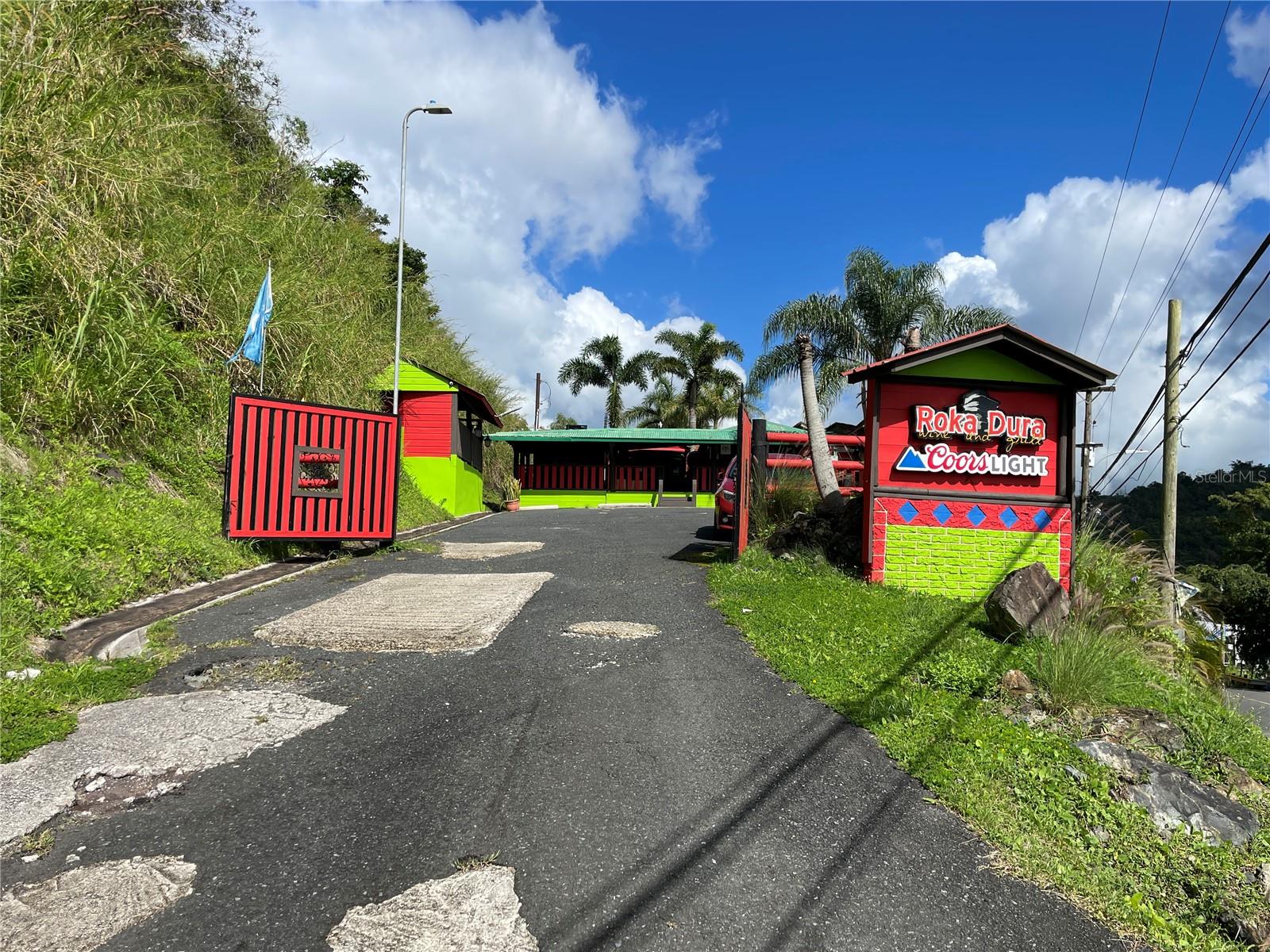 Carr 155 Km 31.9 Bo.gato Property Photo 16