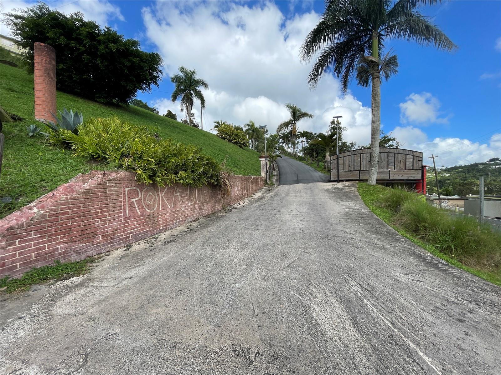 Carr 155 Km 31.9 Bo.gato Property Photo 20