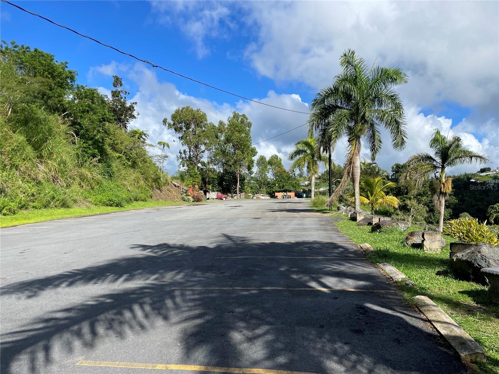 Carr 155 Km 31.9 Bo.gato Property Photo 21