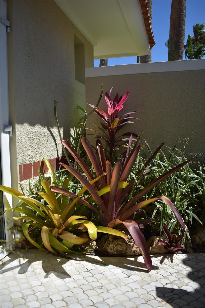 #5 The Greens St Property Photo 37