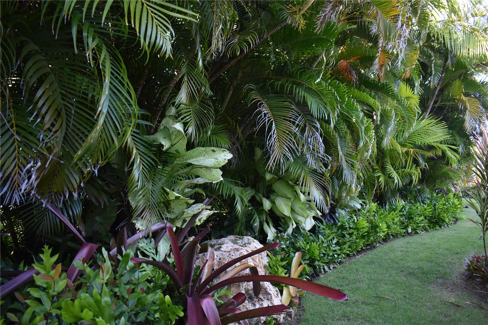 #5 The Greens St Property Photo 39