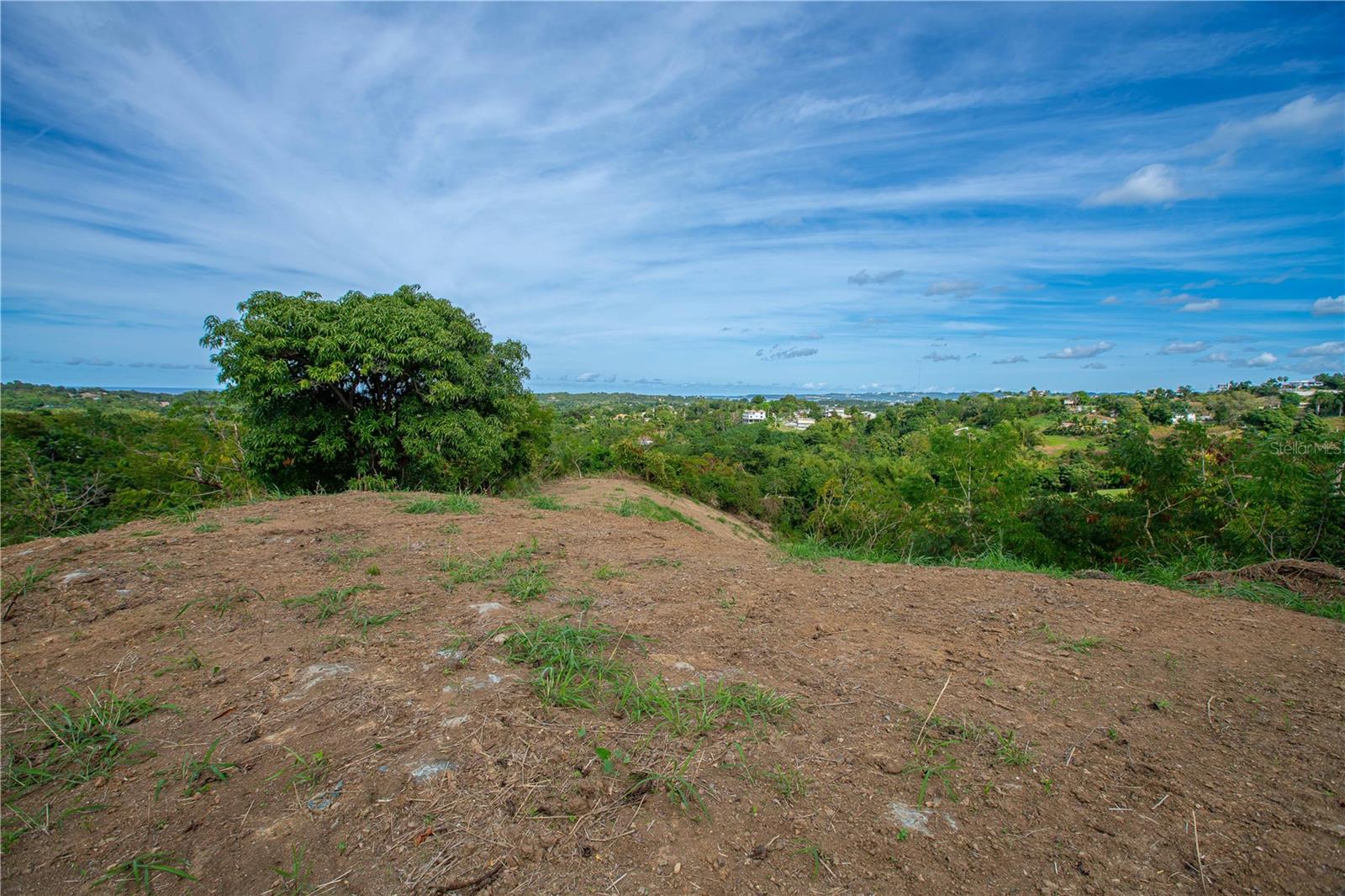 Solar B Barrio Jagüey Property Photo 22