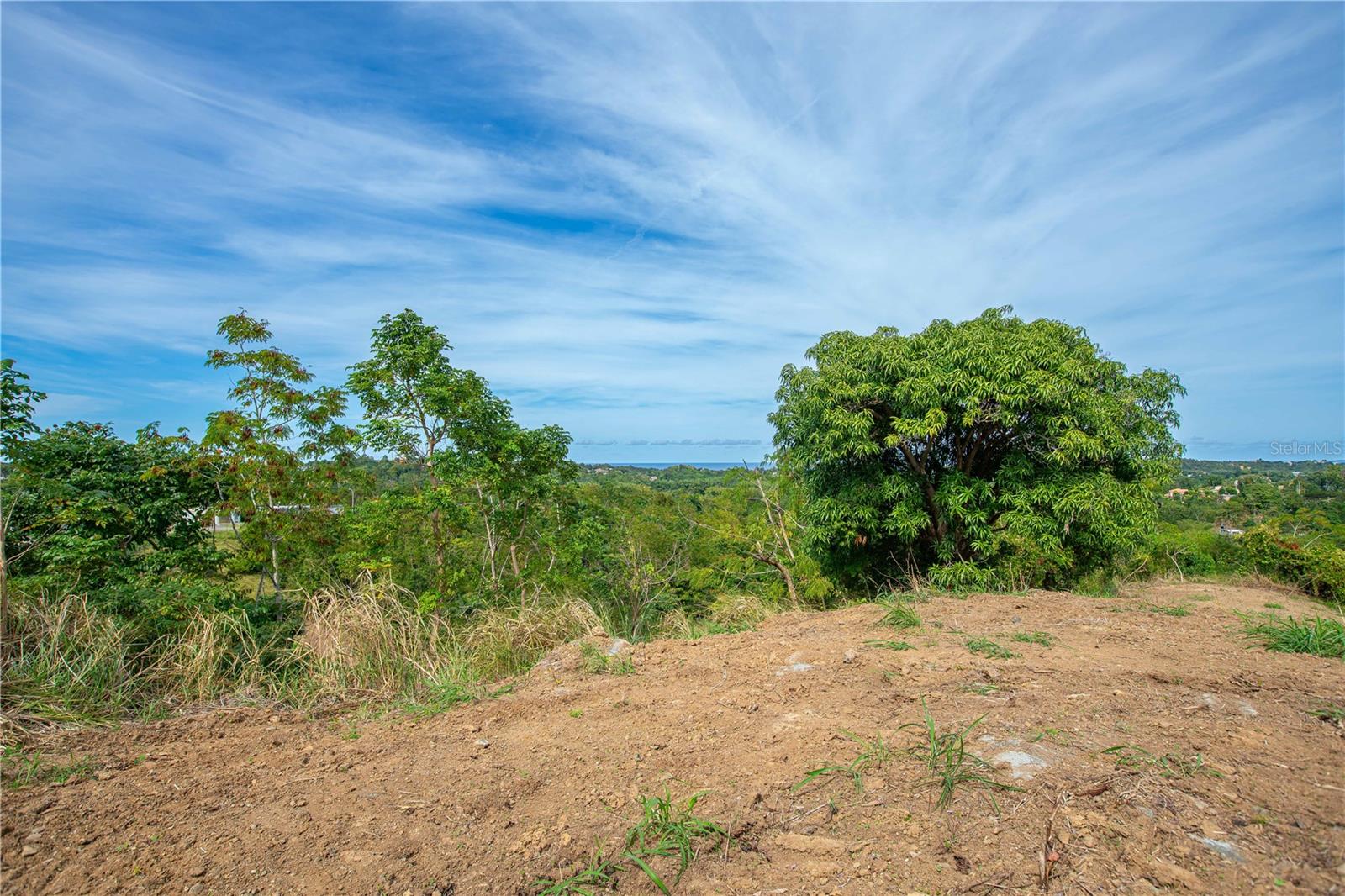 Solar B Barrio Jagüey Property Photo 28