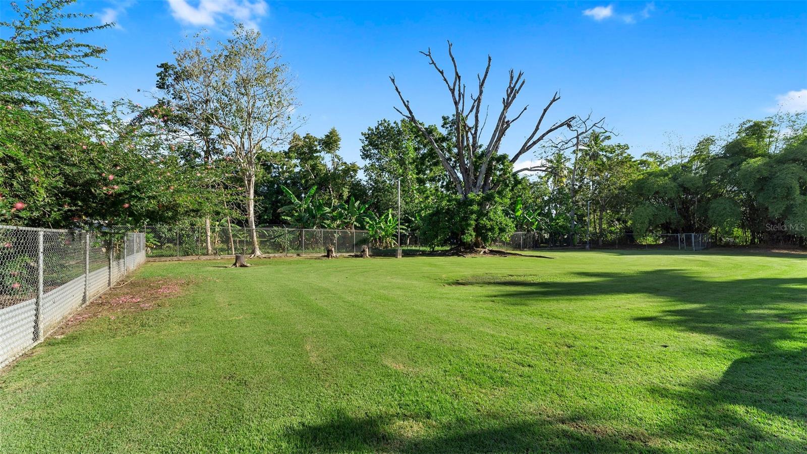 Carr. 311 Km 0.3 Bo. Bajura Property Photo 64