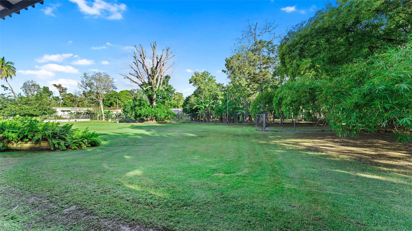 Carr. 311 Km 0.3 Bo. Bajura Property Photo 77