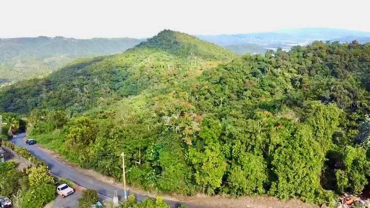 Road 785 Km.hm 4 Barrio Caguitas Property Photo 3