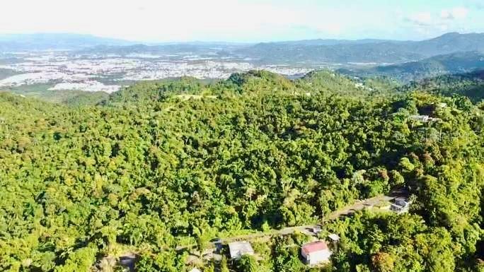 Road 785 Km.hm 4 Barrio Caguitas Property Photo 4