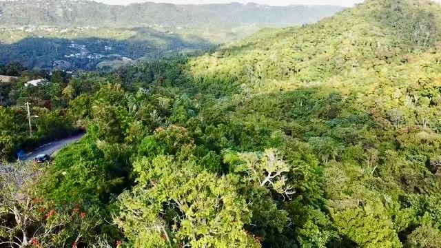 Road 785 Km.hm 4 Barrio Caguitas Property Photo 5