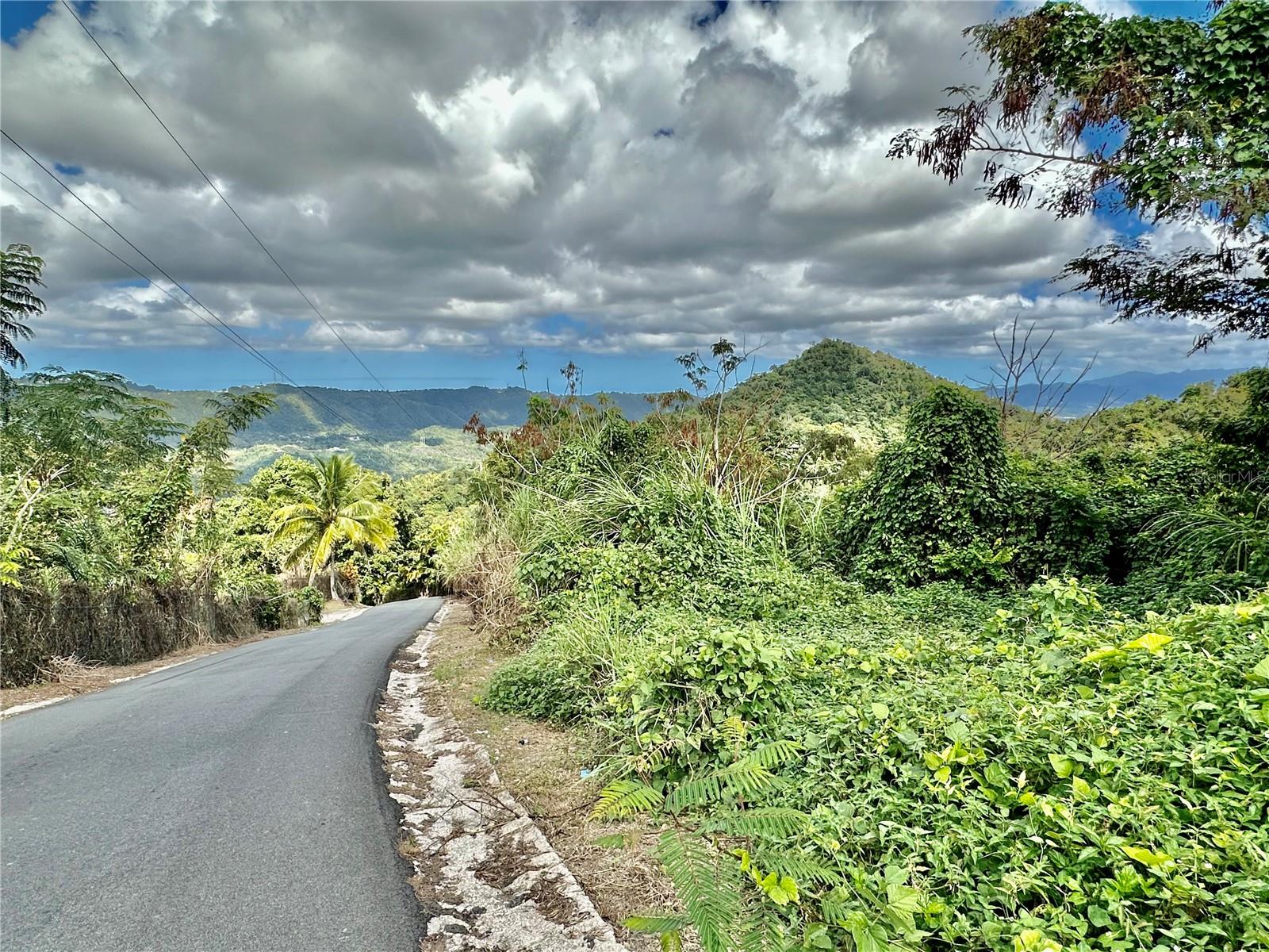 Road 785 Km.hm 4 Barrio Caguitas Property Photo 7