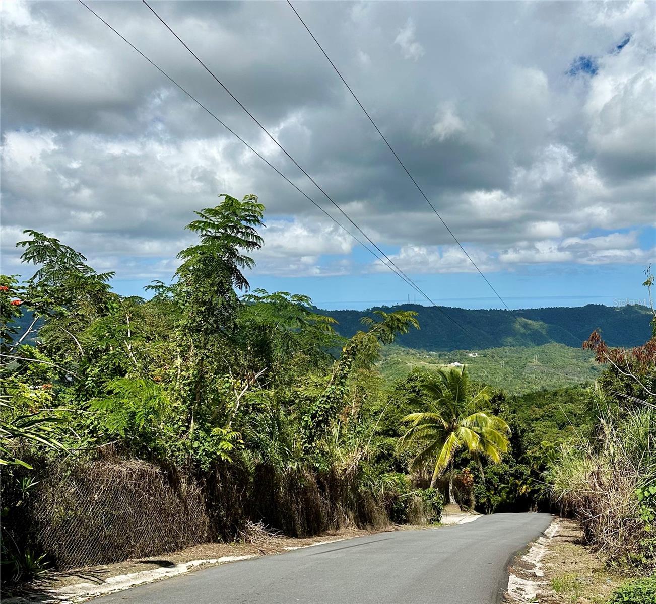 Road 785 Km.hm 4 Barrio Caguitas Property Photo 8