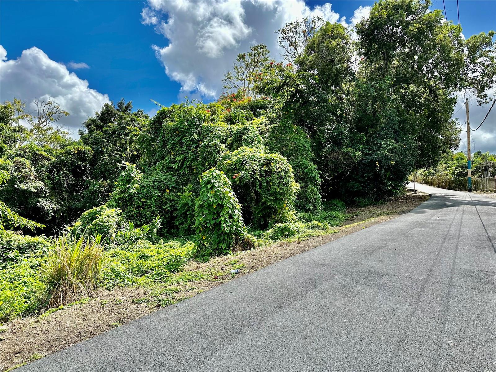 Road 785 Km.hm 4 Barrio Caguitas Property Photo 9