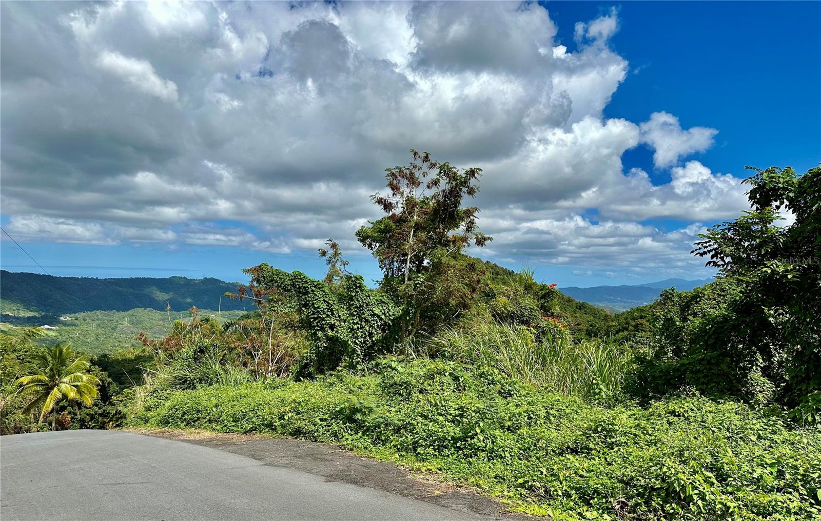 Road 785 Km.hm 4 Barrio Caguitas Property Photo 10