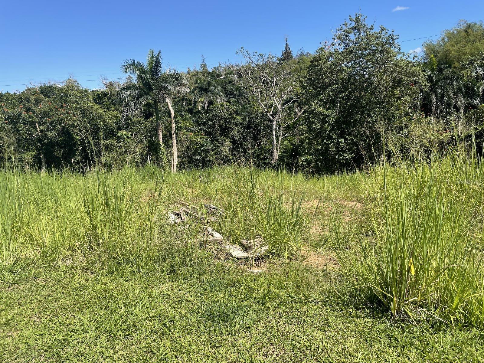 Calle Carraizo Property Photo 11