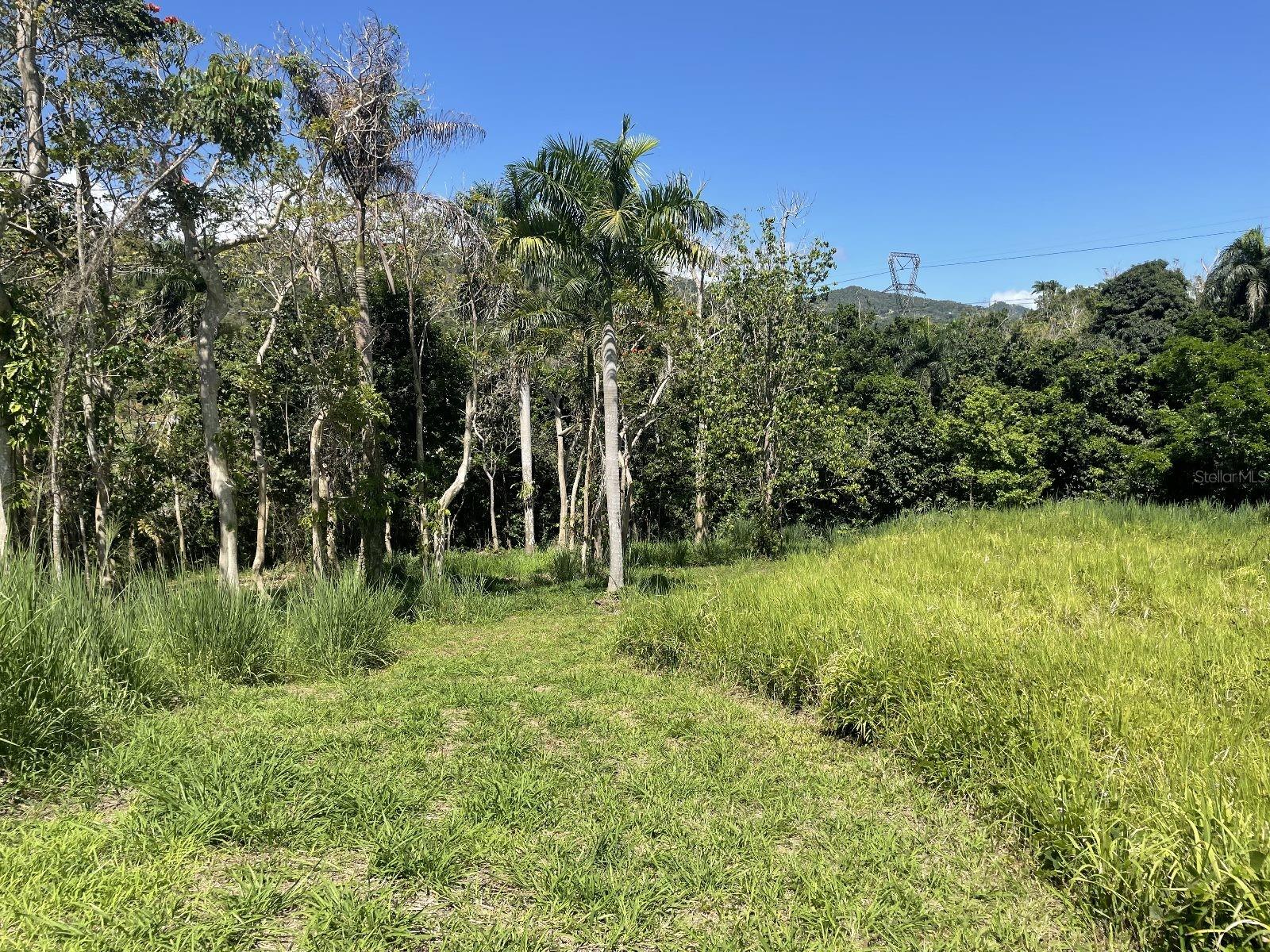 Calle Carraizo Property Photo 13