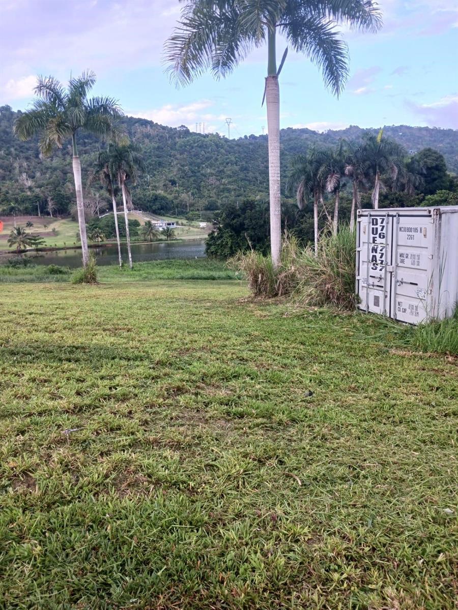Calle Carraizo Property Photo 19