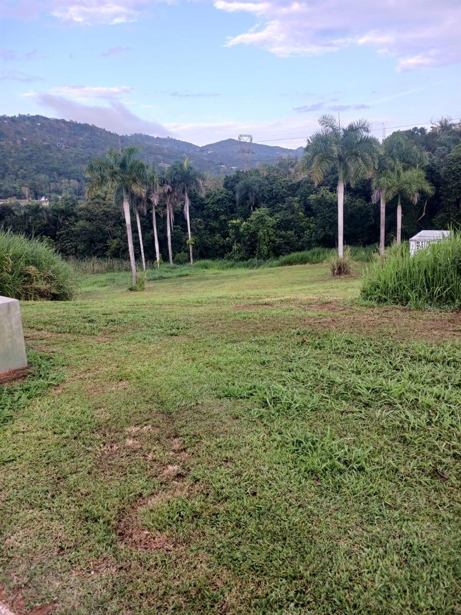 Calle Carraizo Property Photo 20