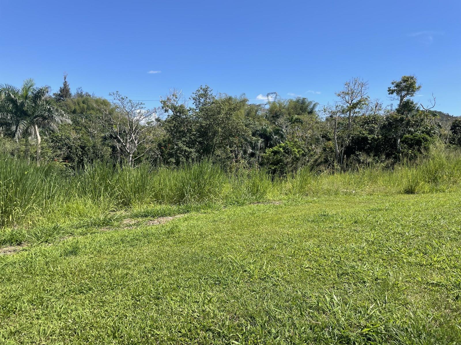 Jacinto Property Photo 4