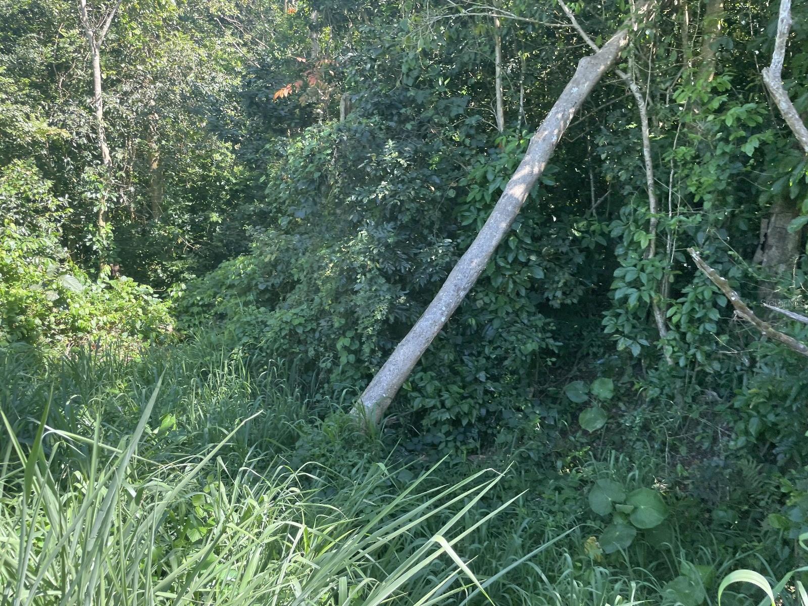 Jacinto Property Photo 5
