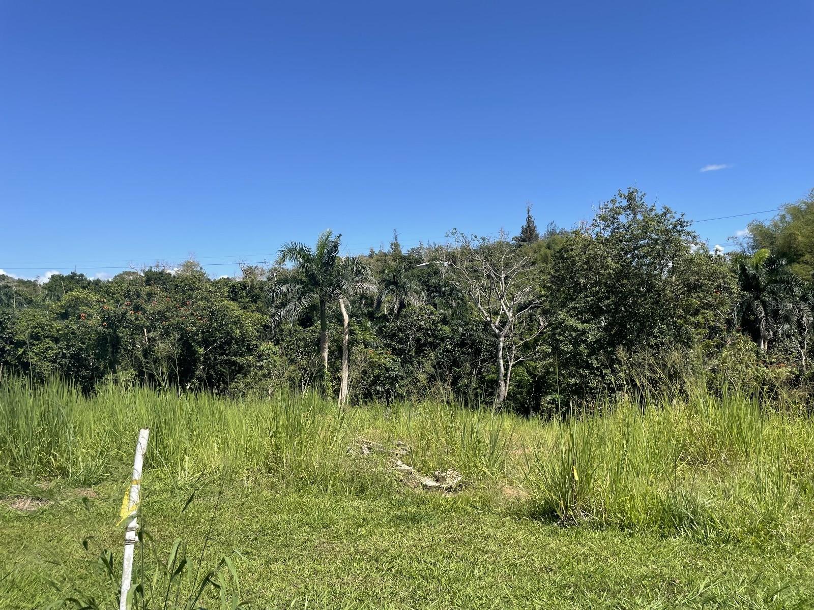 Jacinto Property Photo 6