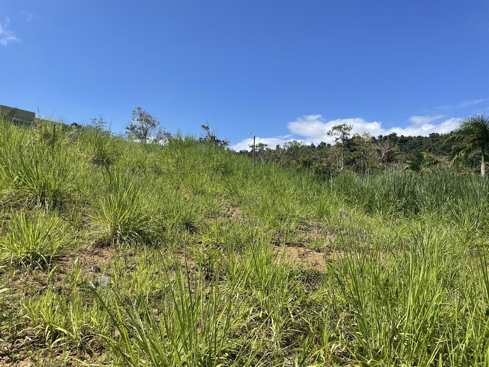 Jacinto Property Photo 7