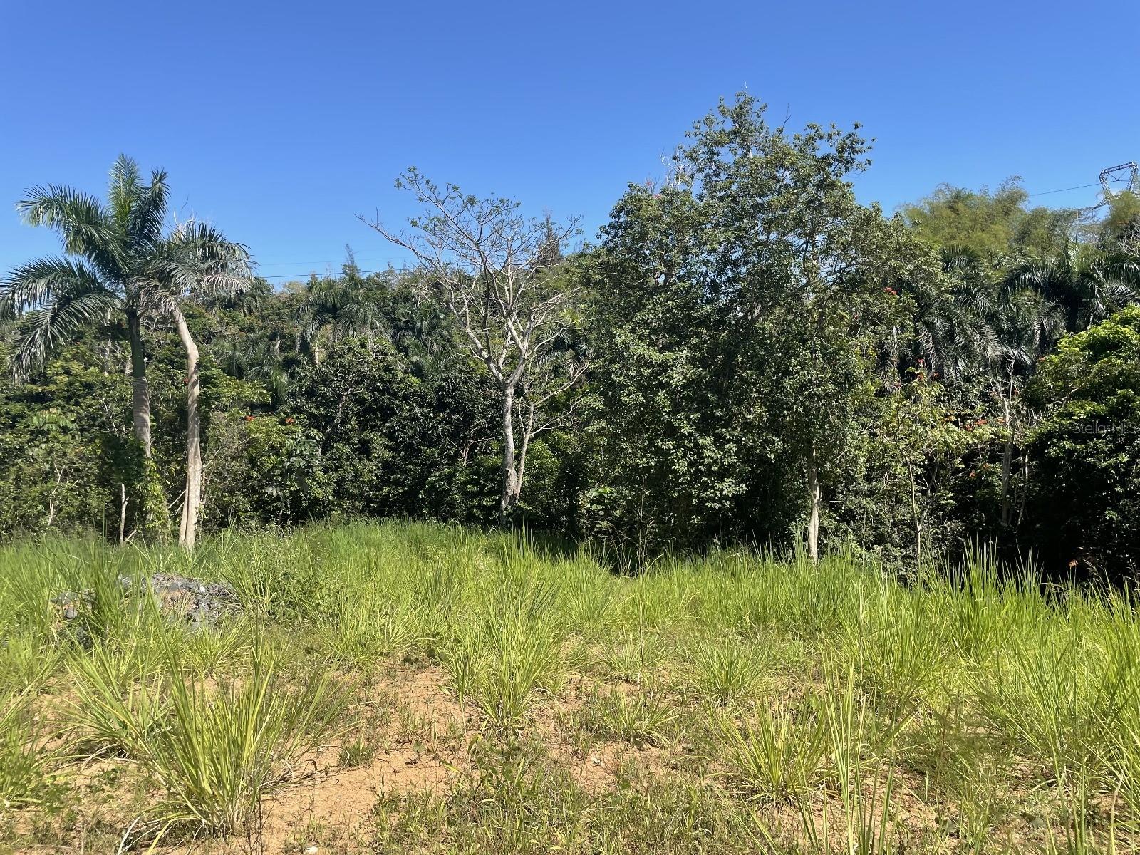 Jacinto Property Photo 8