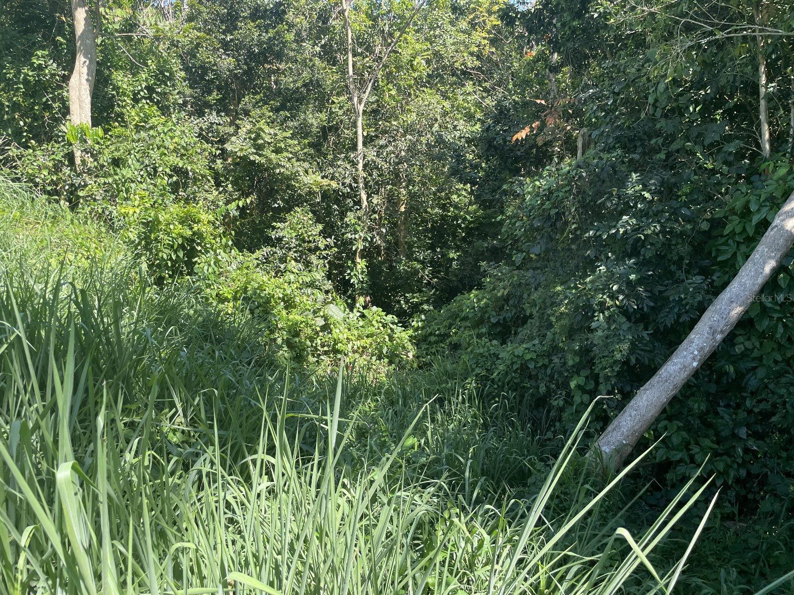 Jacinto Property Photo 9