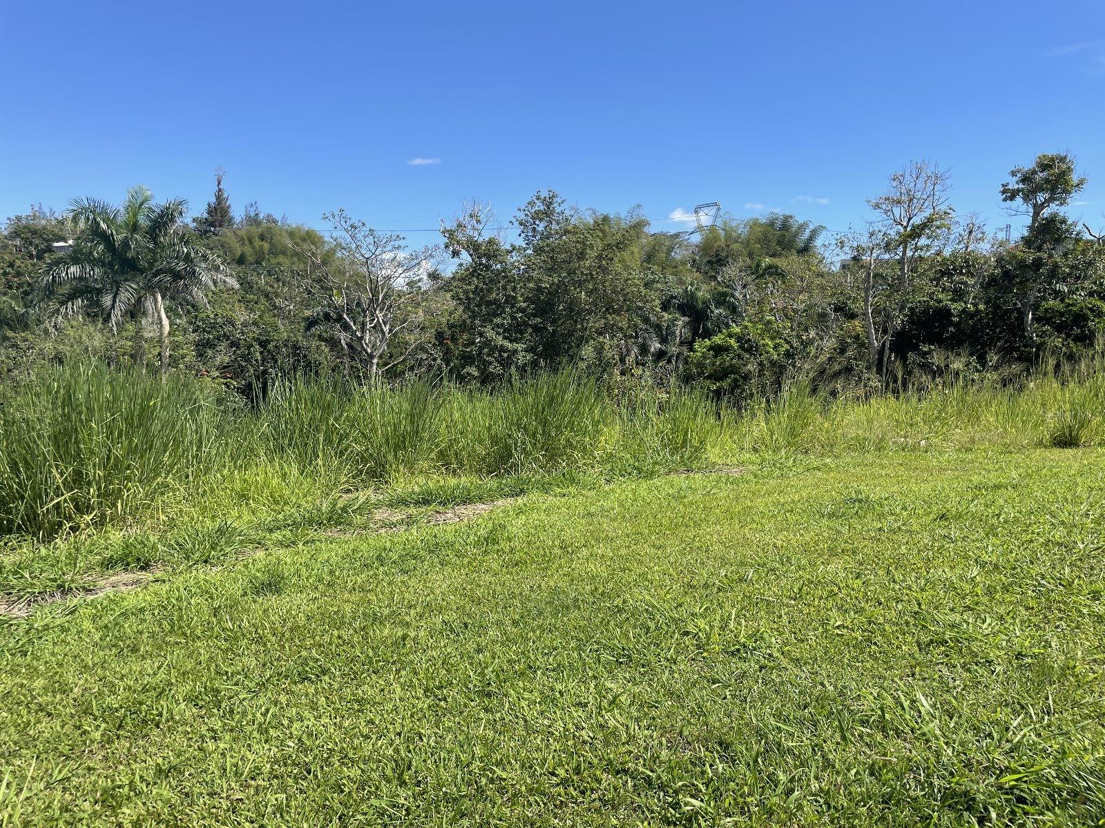 Jacinto Property Photo 10