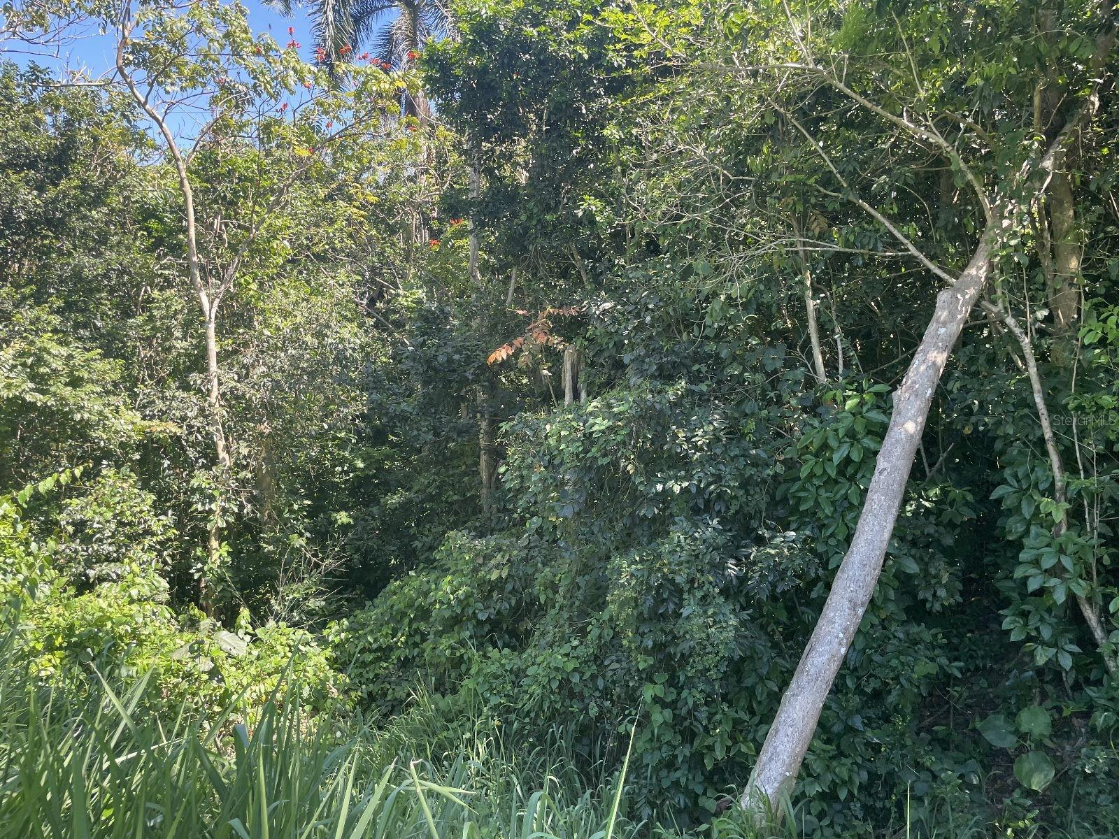 Jacinto Property Photo 11