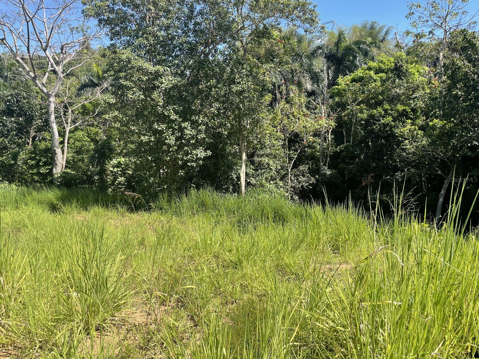 Jacinto Property Photo 12