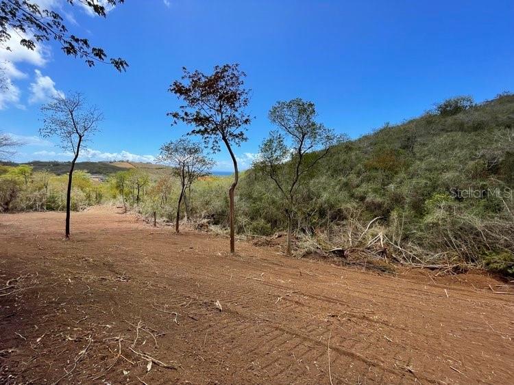 Villa Borinquen Property Photo 1
