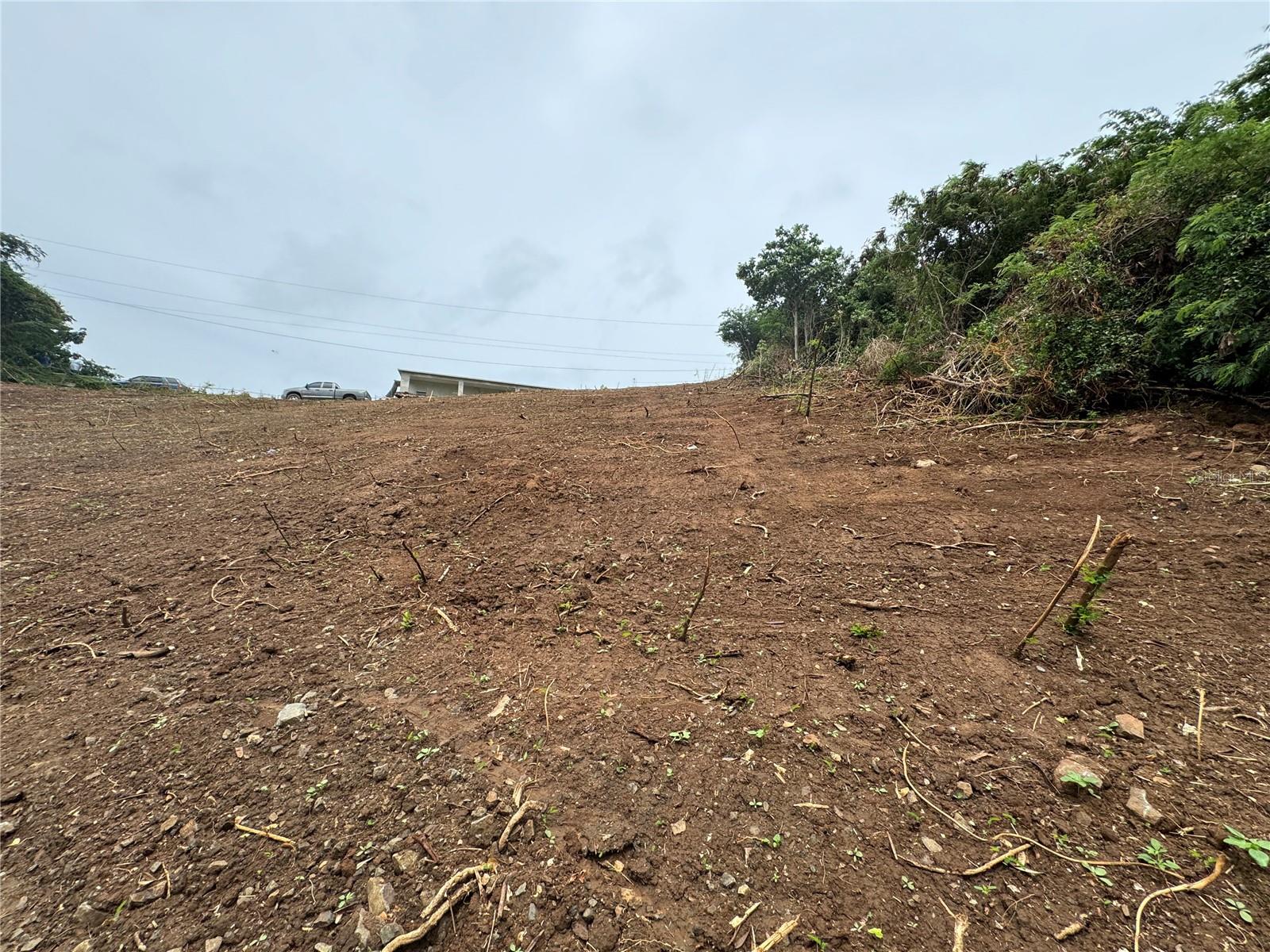 Comunidad Villa Borinquén Property Photo 17