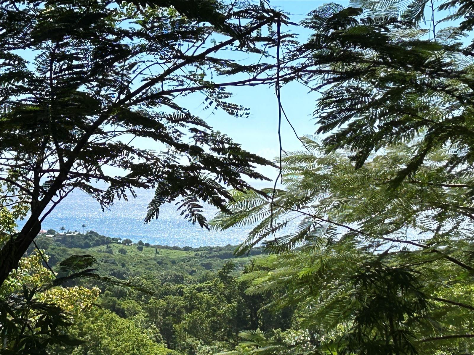 La Llave Property Photo 3