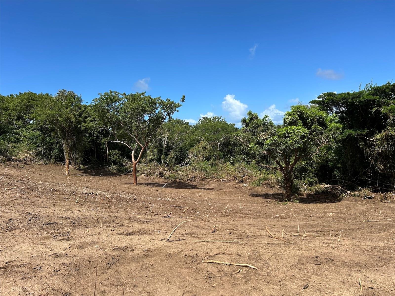 La Llave Property Photo 10