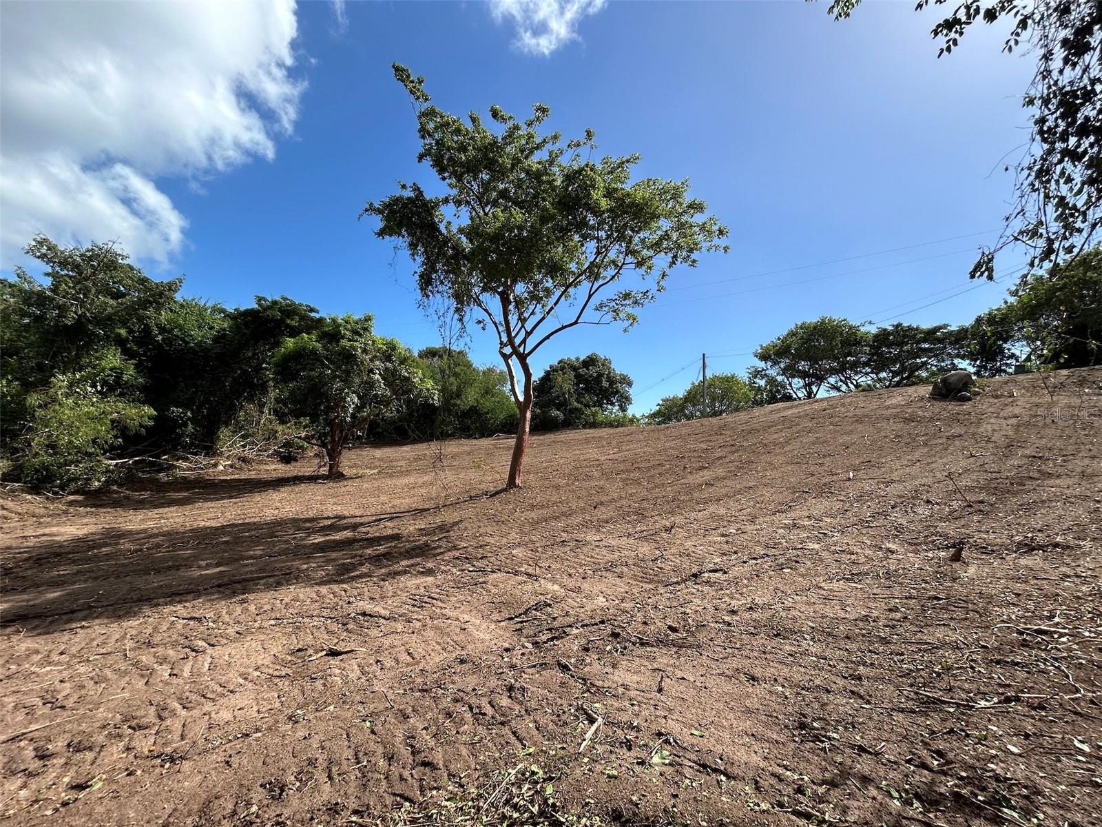La Llave Property Photo 14