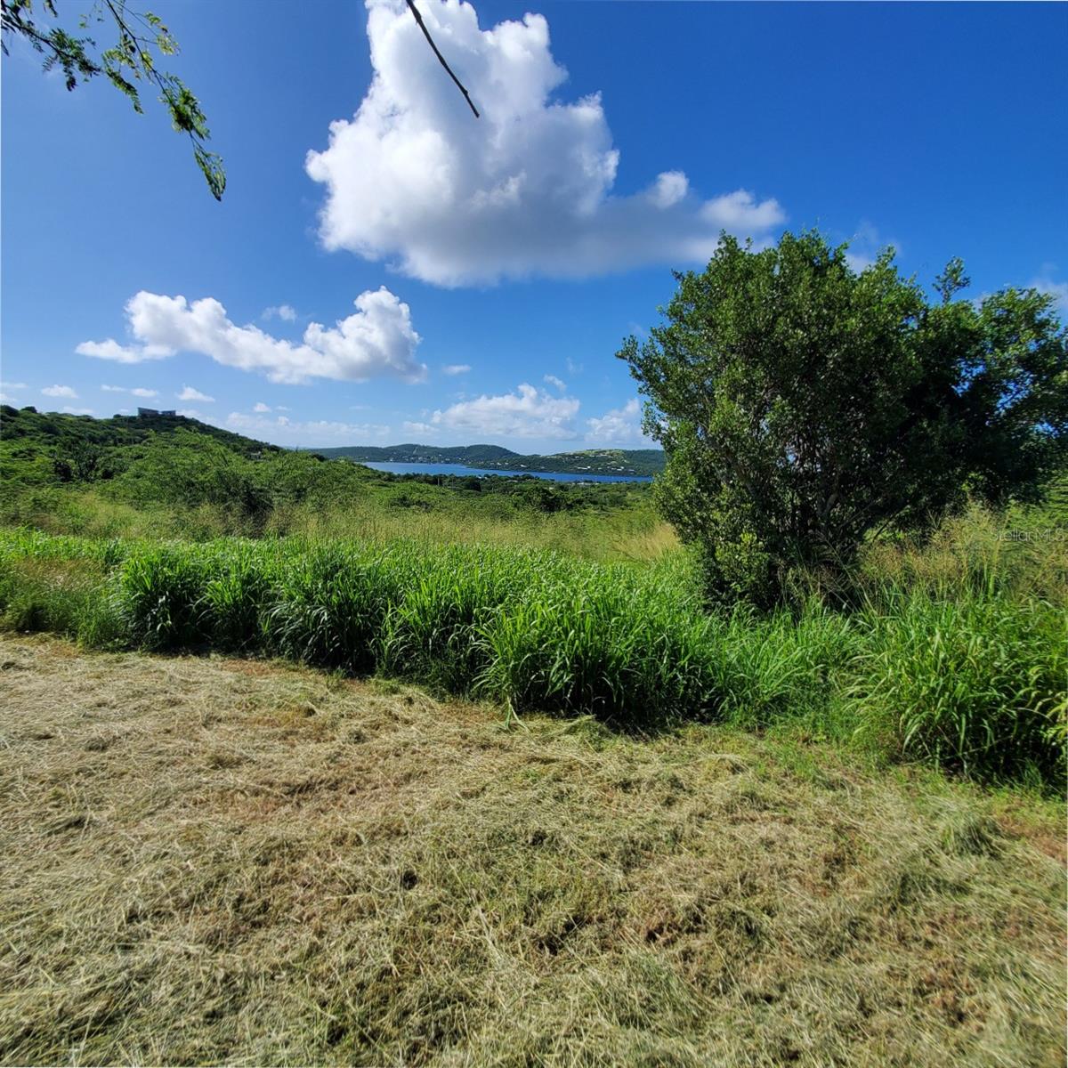 3 Barrio Flamenco Property Photo 4