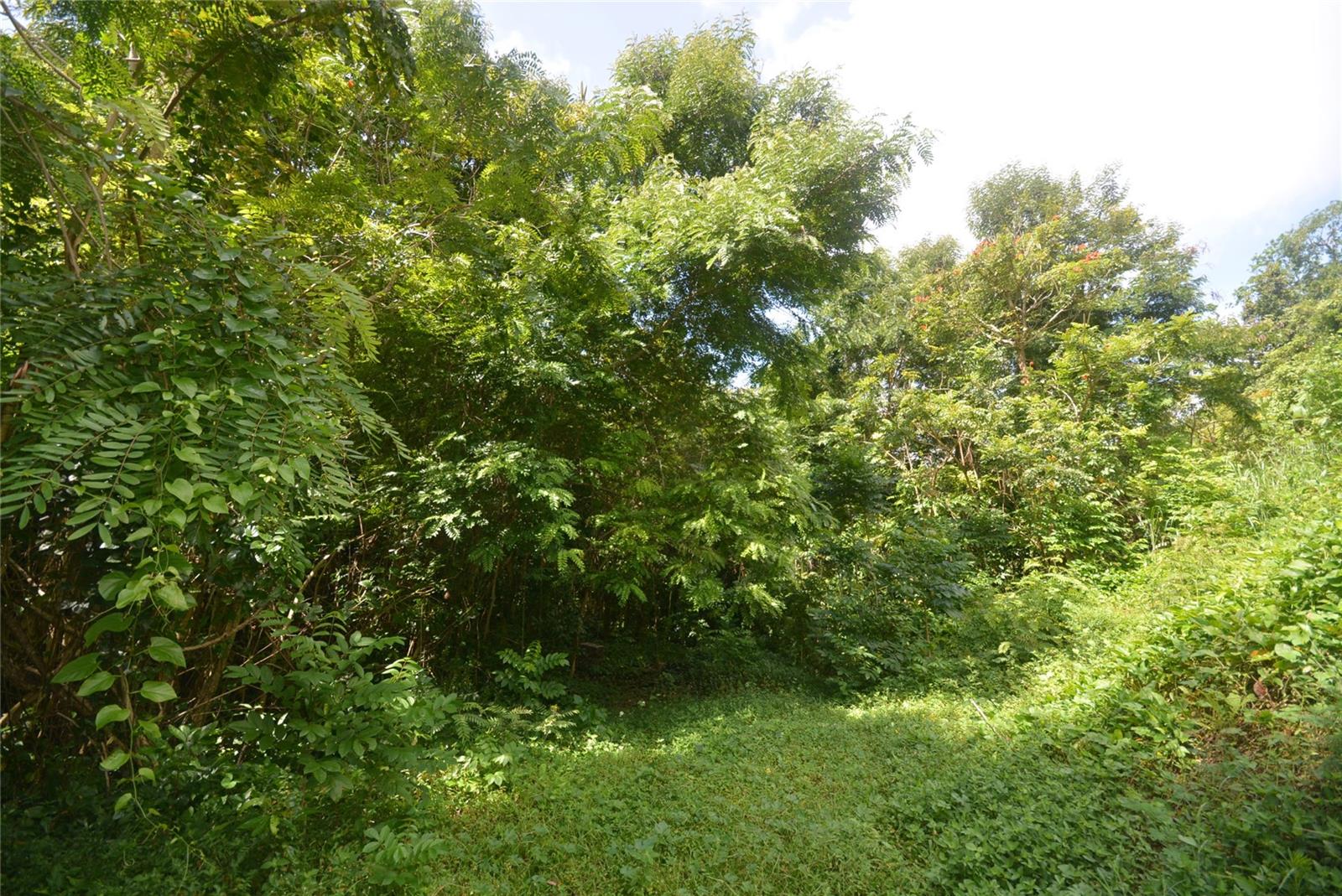 Bo. Marzan Pr-820 Property Photo 1