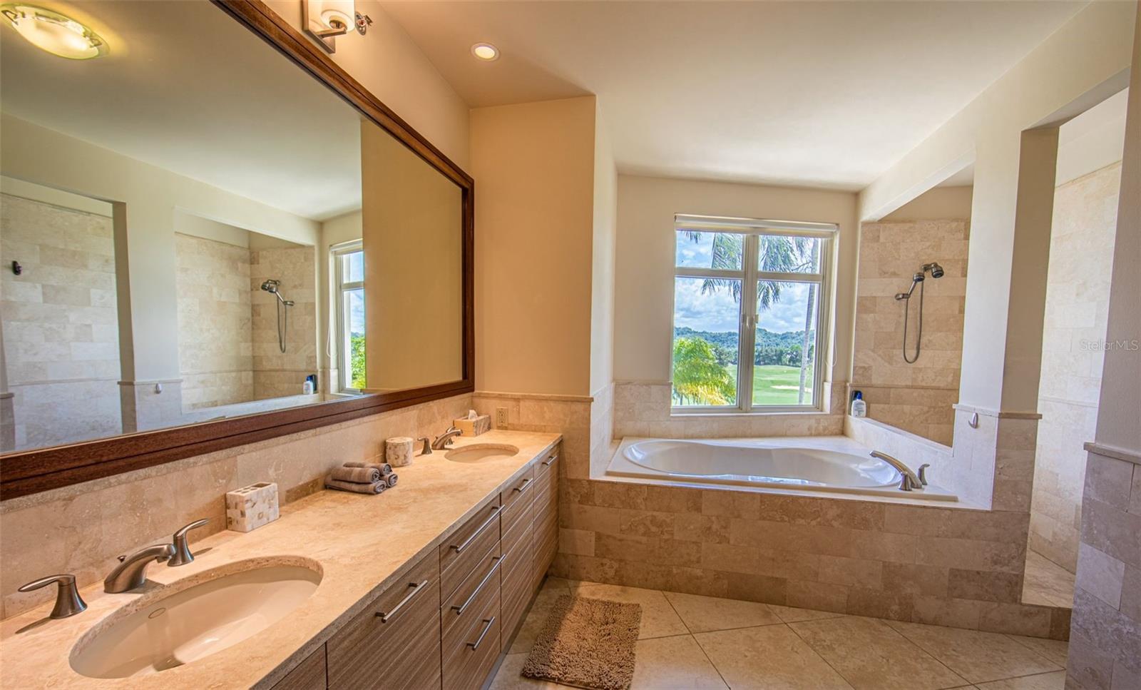 2202 Plantation Dorado Beach Property Photo 3