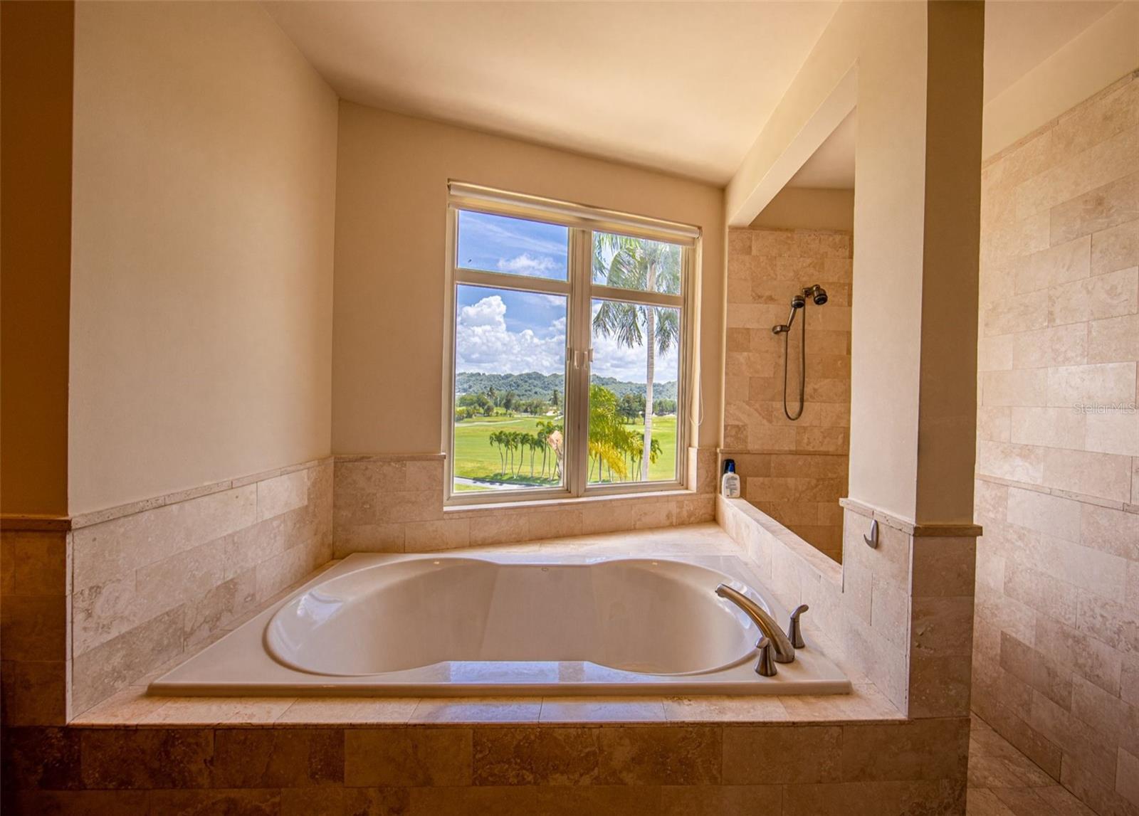 2202 Plantation Dorado Beach Property Photo 6