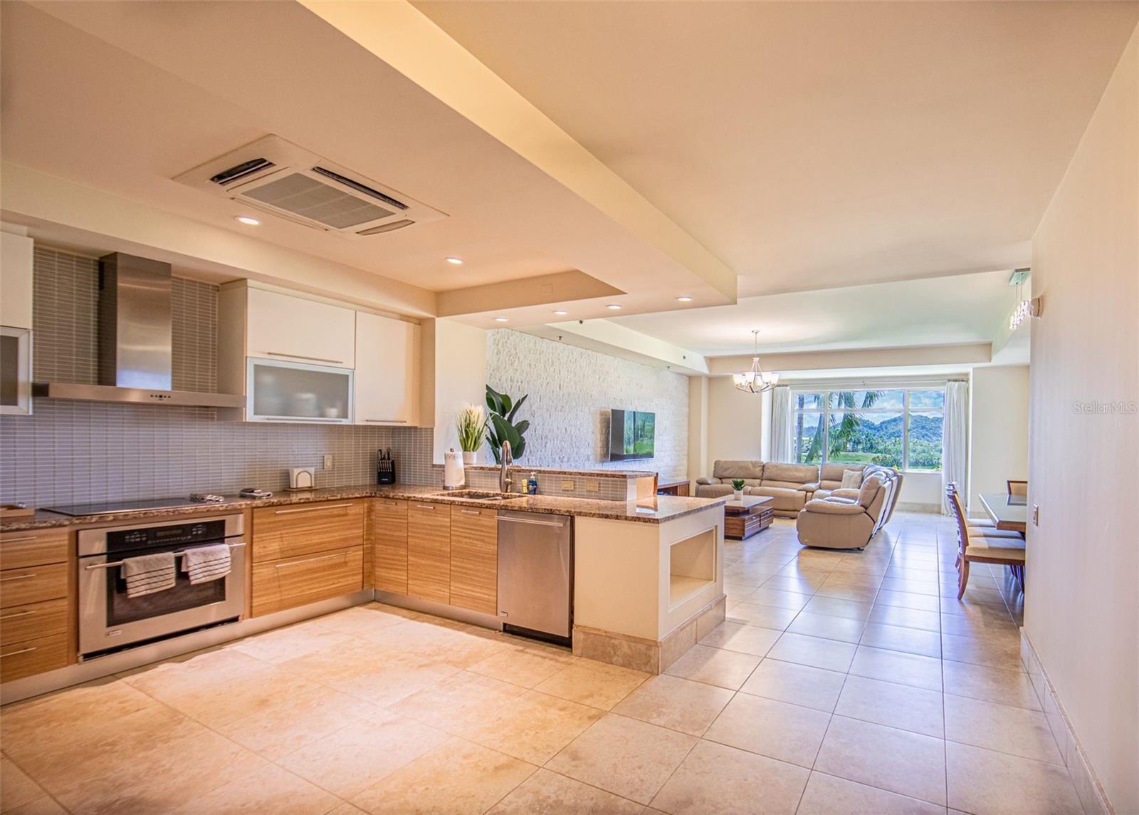 2202 Plantation Dorado Beach Property Photo 10