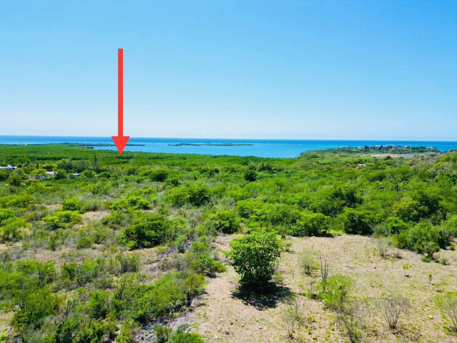 El Pitirre Property Photo