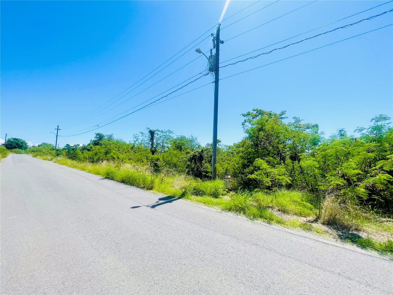El Pitirre Property Photo 11