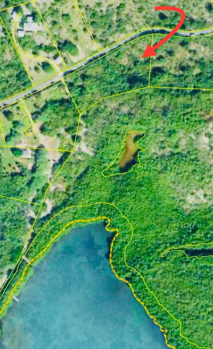 El Pitirre Property Photo 17